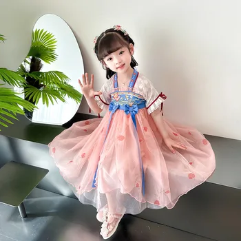 Menina De Desempenho-De-Rosa Floral Vestido Bordado Chinês Antigo Tradicionais De Roupas De Criança Dança Folclórica Hanfu